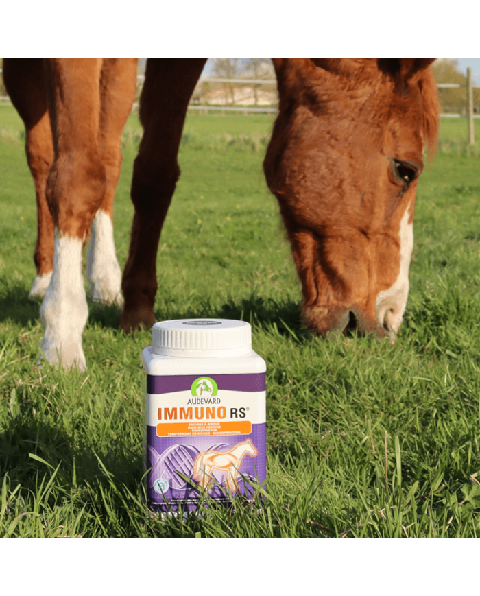 Immuno RS- Soutien immunitaire - AUDEVARD 2 immuno rs (3)