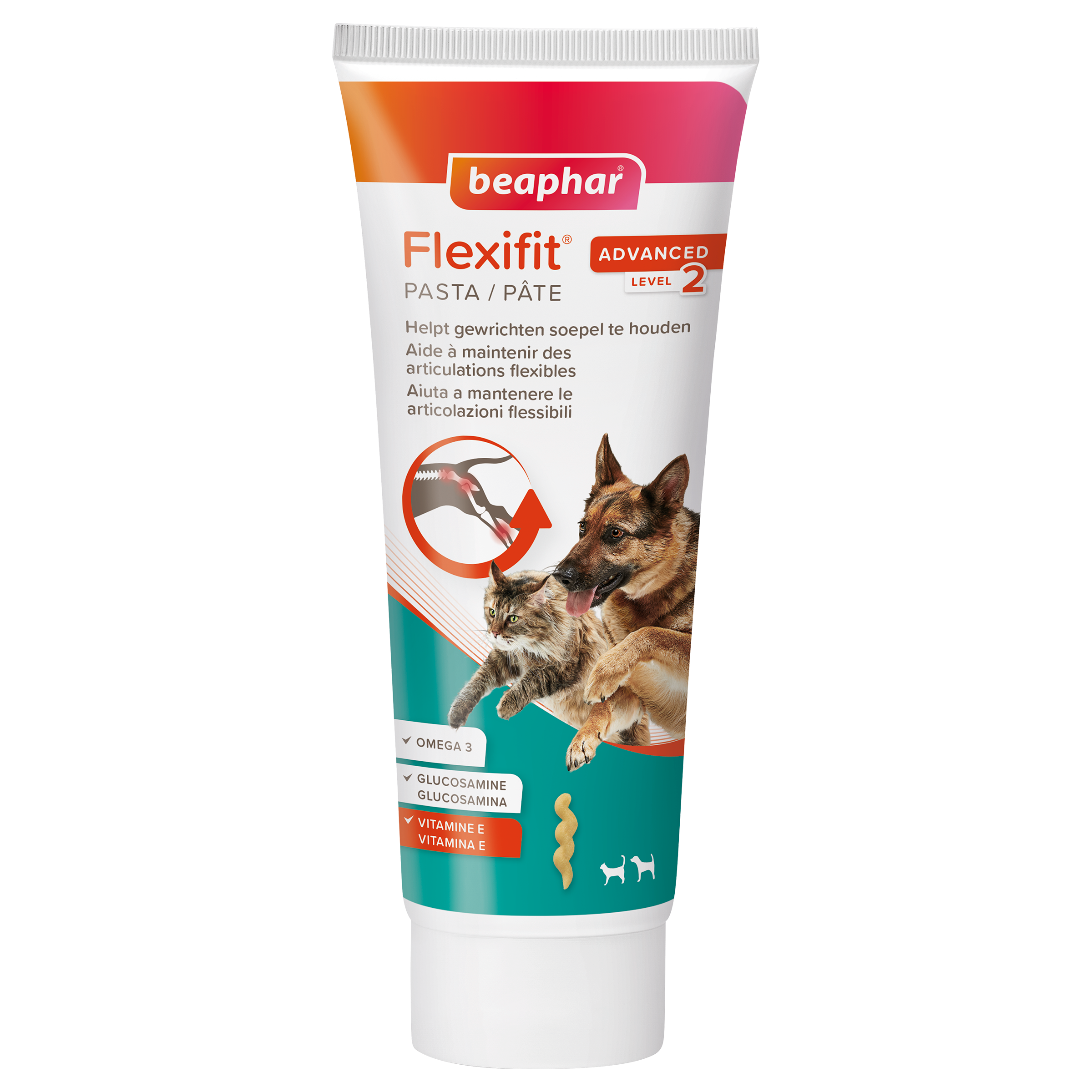 Flexifit- Pâte articulations pour chien et chat , 250g- BEAPHAR 1 10078
