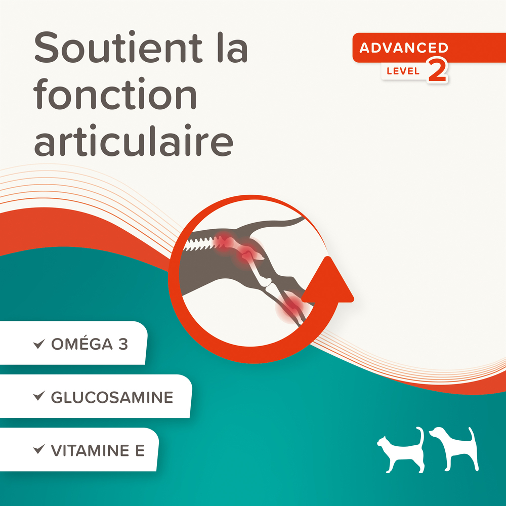 Flexifit- Pâte articulations pour chien et chat , 250g- BEAPHAR 3 10078 Ecommerce Flexifit Paste FR 2024 5