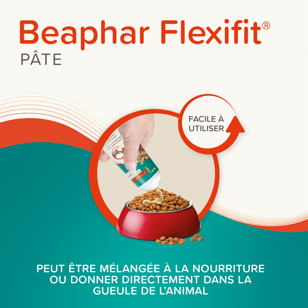 Flexifit- Pâte articulations pour chien et chat , 250g- BEAPHAR 4 10078 Ecommerce Flexifit Paste FR 2024 6