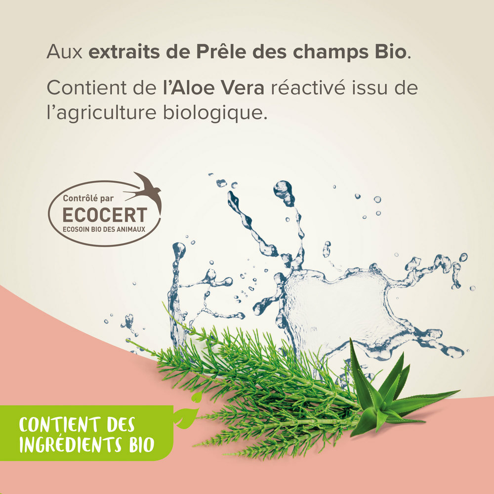 Shampooing fortifiant et anti-chute de poils, 200ml- Beaphar 2 14989 Ecommerce Bio Shampoo Anti hair loss FR 2023 2