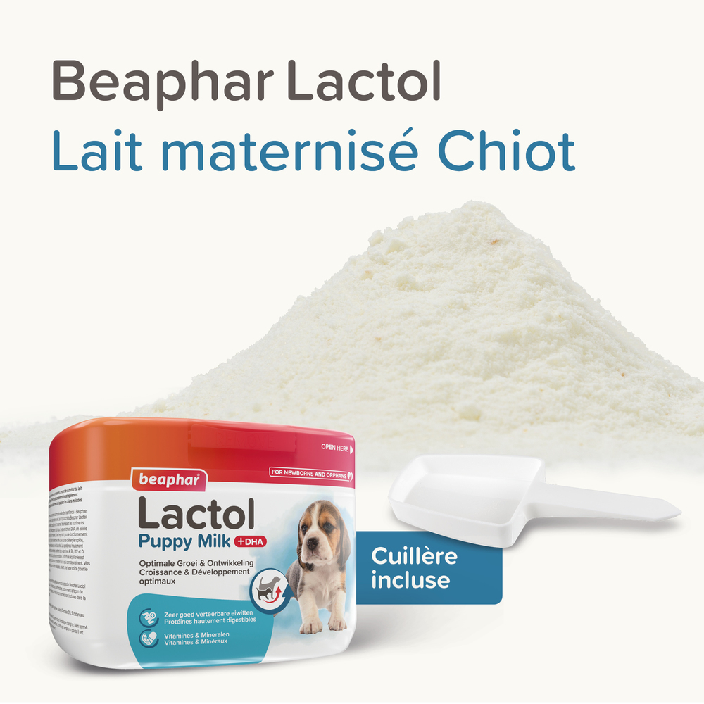 Lactol - Lait maternisé pour chiot - BEAPHAR 4 15190 Ecommerce Puppy Lactol 250g 2000x2000px FR 2025 2