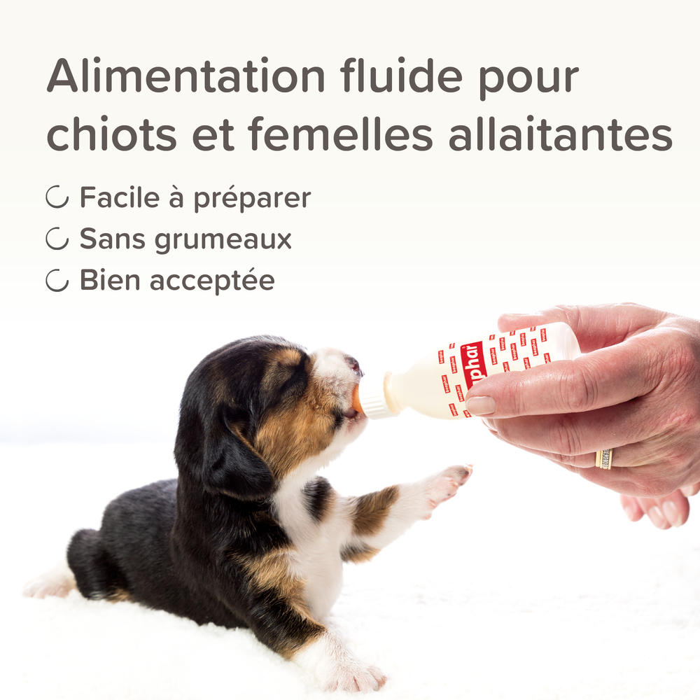 Lactol - Lait maternisé pour chiot - BEAPHAR 2 15190 Ecommerce Puppy Lactol 250g 2000x2000px FR 2025 6