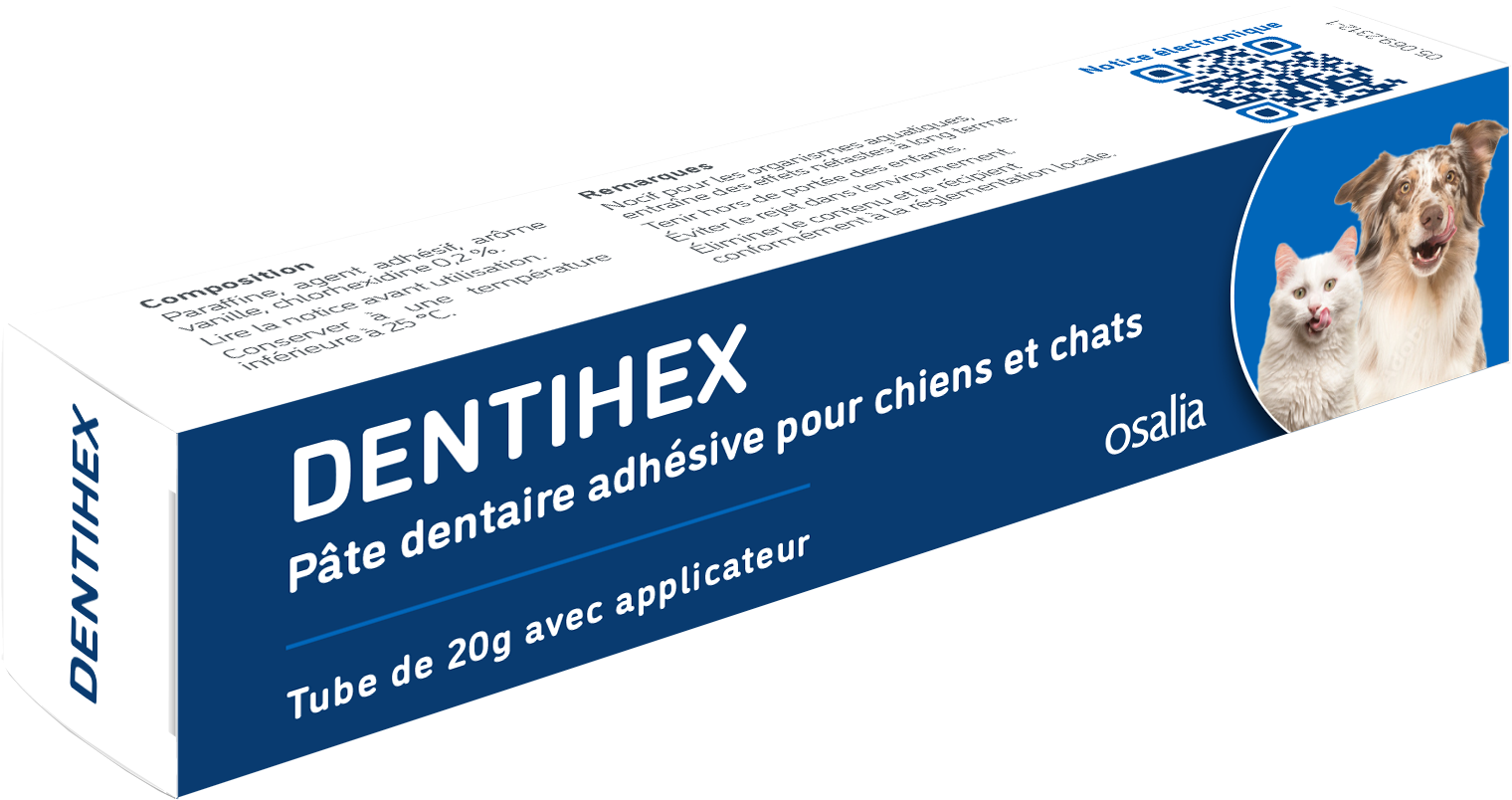 DENTIHEX - Avec applicateur , 20g - OSALIA 1 6772abca17026 2024 DENTIHEX 6772abca1924f