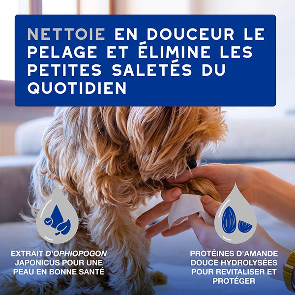 Douxo SPA lingettes multi-usage,boite de 100 - CEVA 3 B0DVZHZNK9 FR DouxoSpa Wipes Multipurpose ATF PT01