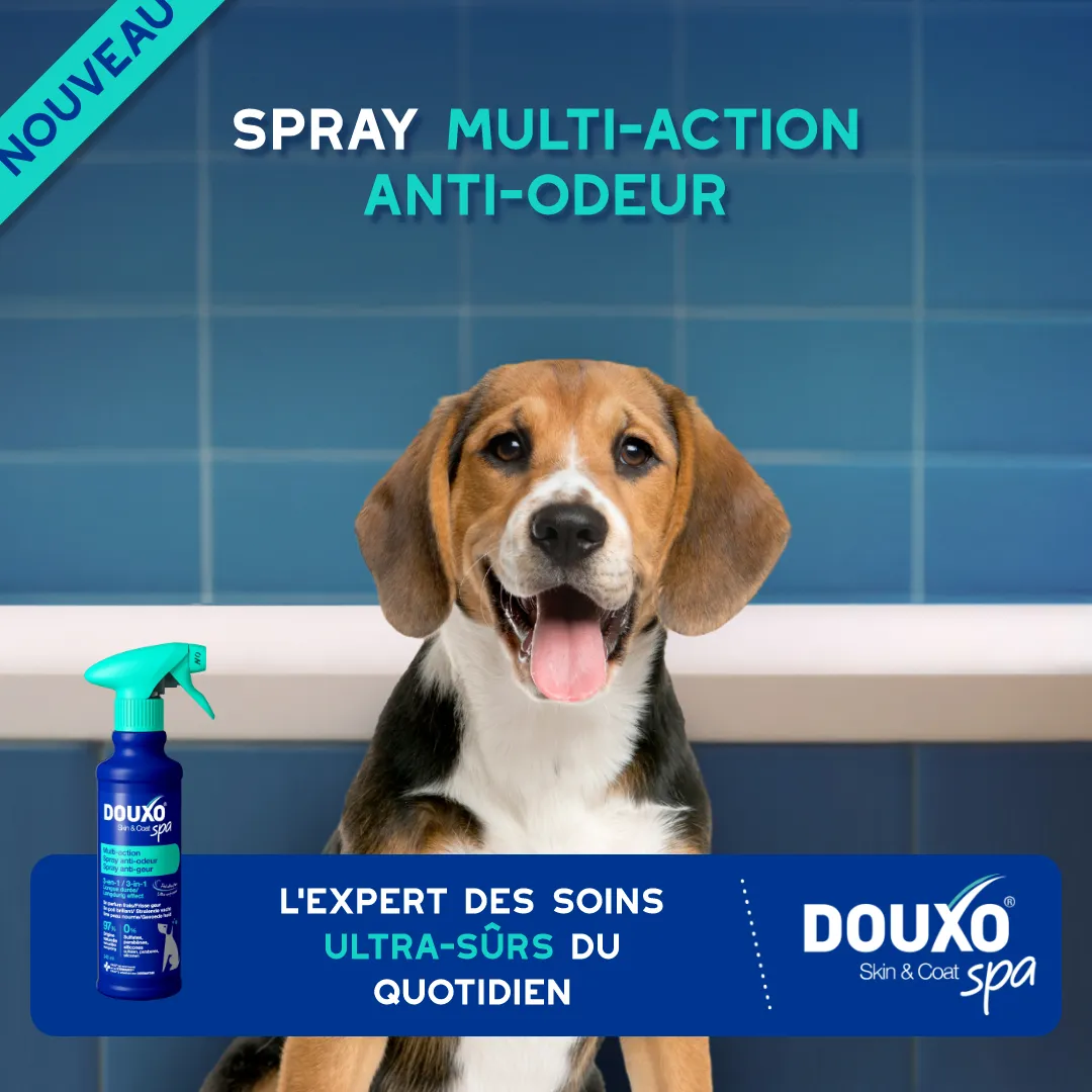 SPA Carrousel Square Spray Odor control Variation FR Slide 1