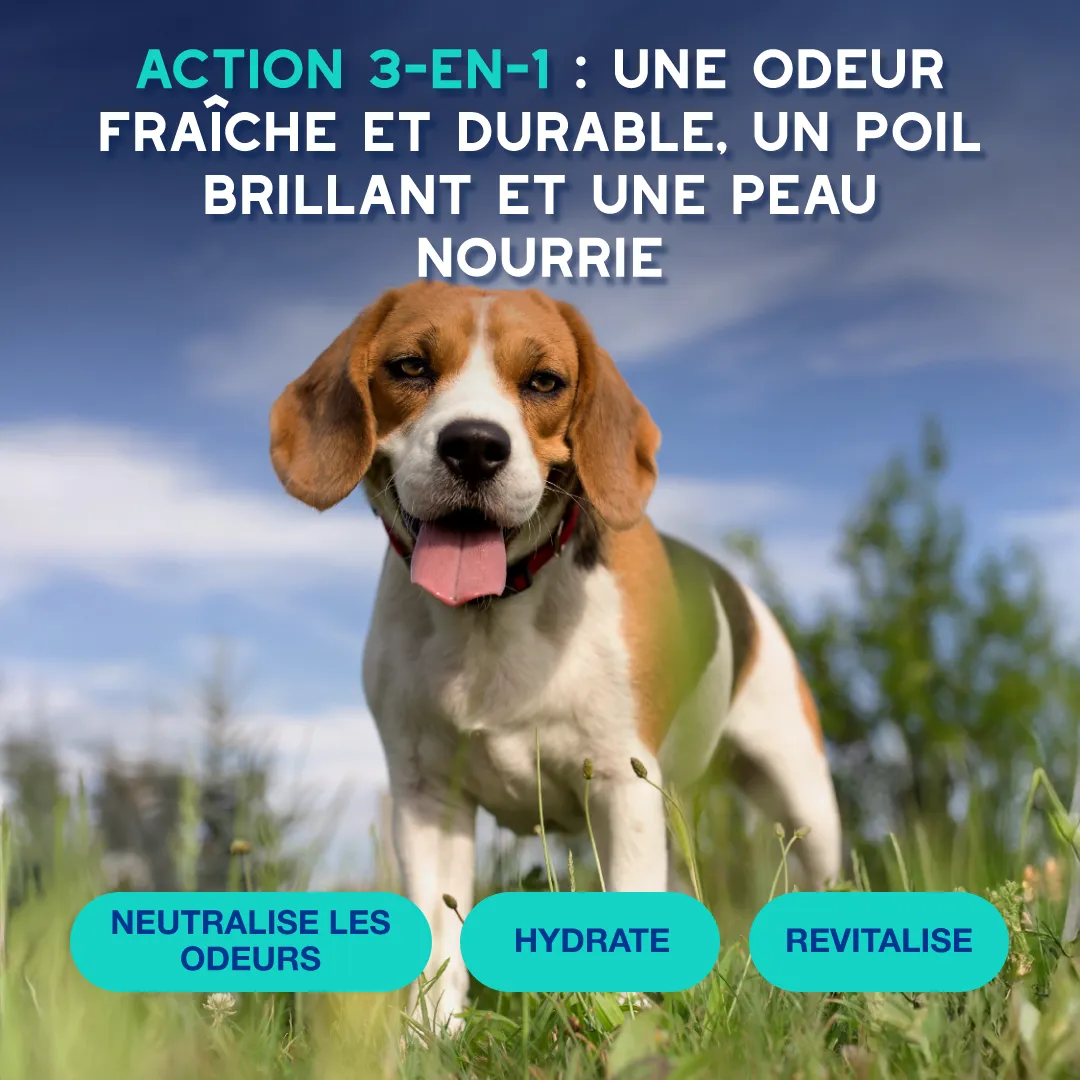 SPA Carrousel Square Spray Odor control Variation FR Slide 2