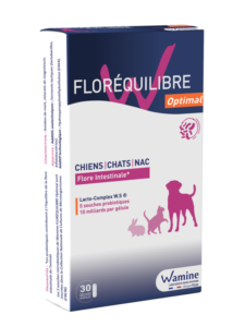 3D pack florequilibre optimal orange Bdef 562x748