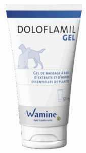 DOLOFLAMIL GEL RV3v1 425x748